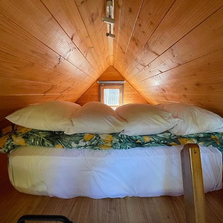 Studio Or Cabin On Whitby Nelson Dış mekan fotoğraf